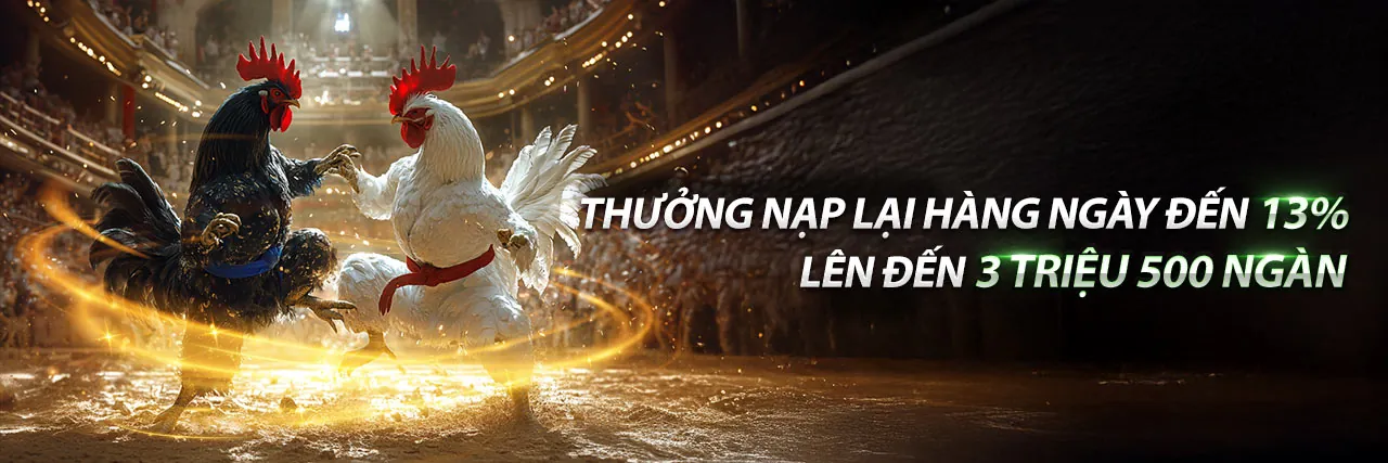 Dịch vụ hỗ trợ khách hàng đá gà trực tiếp casino 24/7